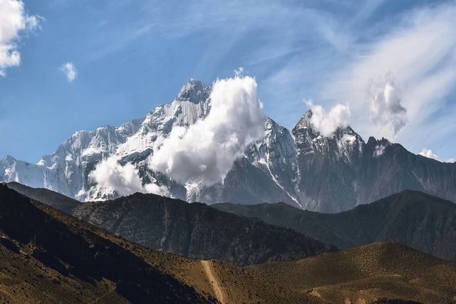 High-Altitude Grown for Specialty Arabica