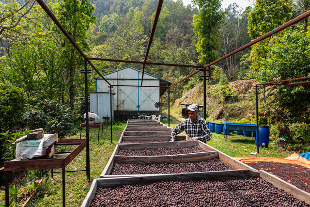 Sustainably Farmed.  Naturally Pure.