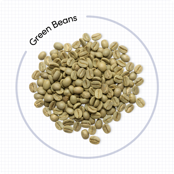 Green Beans graphic