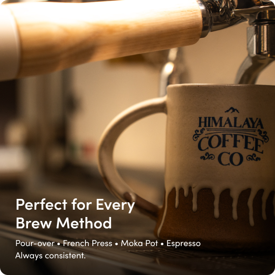 HCC Green Beans - perfect for every brew method