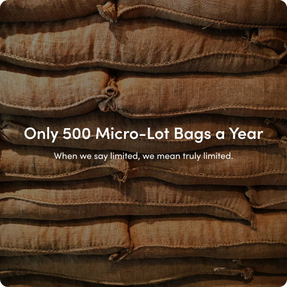 Only 500 micro lot bags of green beans
